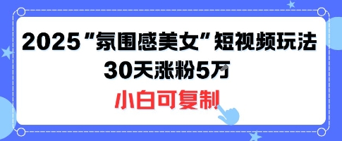 不露脸也能火！2025“氛围感美女”短视频玩法，30天涨粉5W小白可复制-赛德副业库