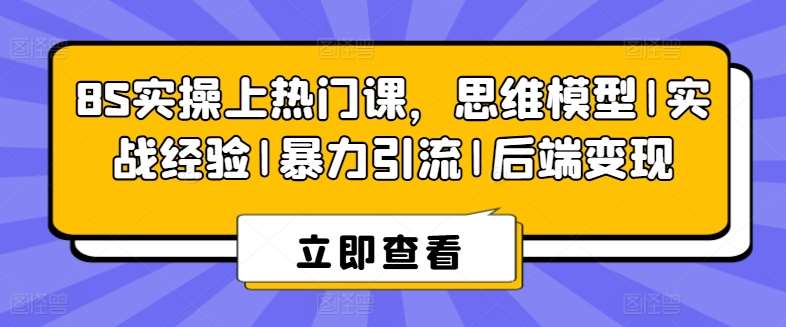 8S实操上热门课，思维模型|实战经验|暴力引流|后端变现-赛德副业库