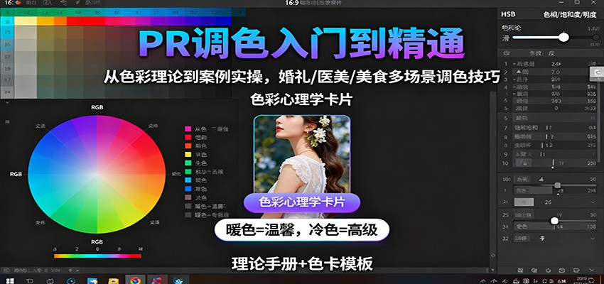 PR调色入门到精通：从色彩理论到案例实操，婚礼/医美/美食多场景调色技巧-赛德副业库