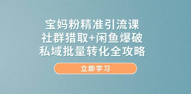 宝妈粉精准引流课，社群猎取+闲鱼爆破，私域批量转化全攻略-赛德副业库