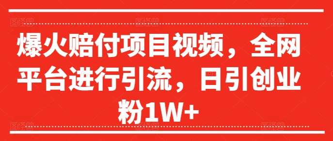 爆火赔付项目视频,全网平台进行引流,日引创业粉1W+【揭秘】-赛德副业库