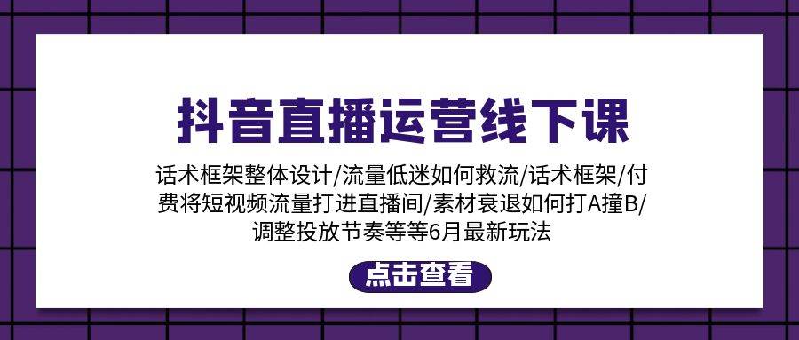 （11211期）抖音直播运营线下课：话术框架/付费流量直播间/素材A撞B/等6月新玩法-赛德副业库
