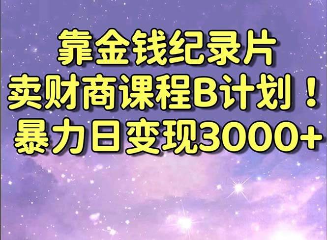(8944期)靠金钱纪录片卖财商课程B计划!暴力日变现3000+,喂饭式干货教程!-赛德副业库
