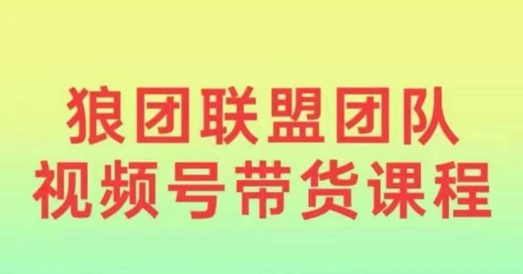 狼团联盟2024视频号带货，0基础小白快速入局视频号-赛德副业库