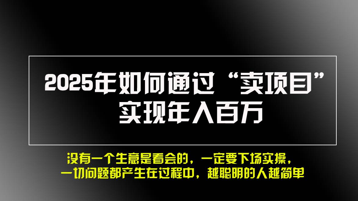 （13468期）2025年如何通过“卖项目”实现年入百万，做网赚必看！！-赛德副业库
