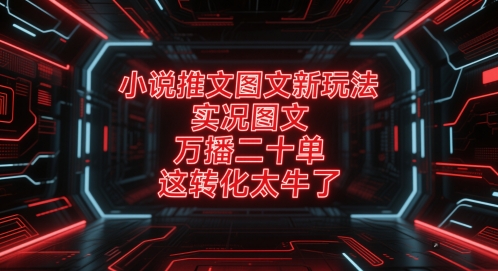 小说推文图文新玩法，实况图文，万播二十单，这转化太牛了！-赛德副业库