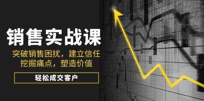 销售实战课，突破销售困扰，建立信任，挖掘痛点，塑造价值，轻松成交客户-赛德副业库