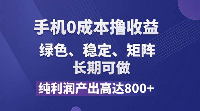 （11976期）纯利润高达800+，手机0成本撸羊毛，项目纯绿色，可稳定长期操作！-赛德副业库