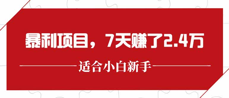 (15228期)最新暴利项目,每单收益轻松在300以上,7天赚了2.4万-赛德副业库