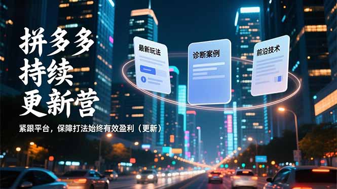 （16987期）拼多多持续更新营，最新玩法、诊断案例、前沿技术，紧跟平台，保障打法始终有效盈利（更新）-赛德副业库
