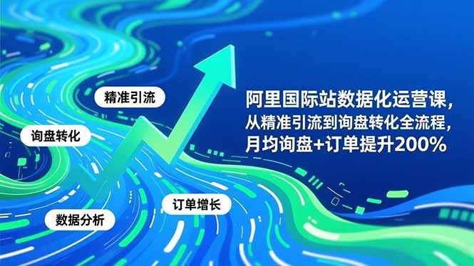 （16660期）阿里国际站数据化运营课-11月，从精准引流到询盘转化全流程，月均询盘+订单提升200%-赛德副业库