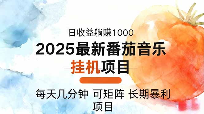 （16491期）2025年最新番茄音乐人挂机项目，每天几分钟，月入1000＋，可矩阵，一台…-赛德副业库