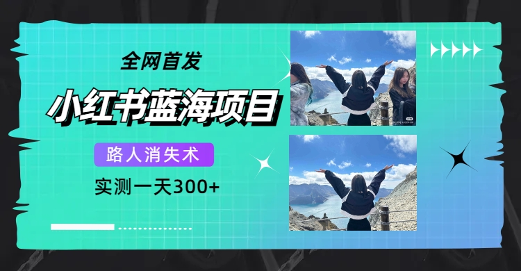 全网首发,小红书蓝海项目,路人消失术,实测一天300+(教程+工具)-赛德副业库