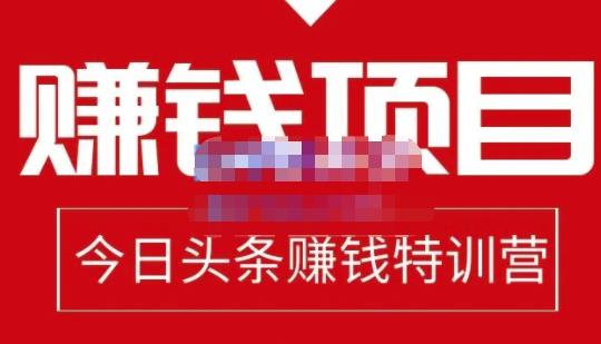 懒人领域·今日头条项目玩法,头条中视频项目,单号收益在50—500可批量