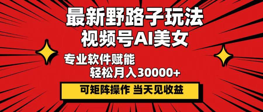 （12798期）最新野路子玩法，视频号AI美女，当天见收益，轻松月入30000＋-赛德副业库