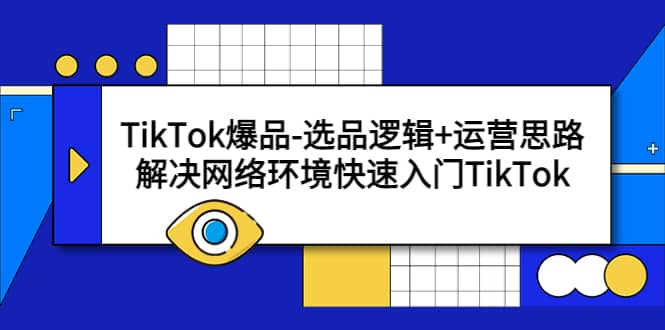 TikTok爆品-选品逻辑+运营思路:解决网络环境快速入门TikTok-赛德副业库