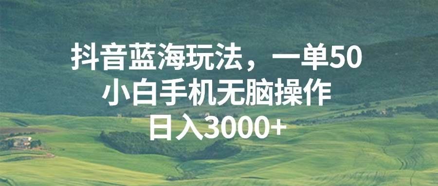 （13353期）抖音蓝海玩法，一单50，小白手机无脑操作，日入3000+-赛德副业库
