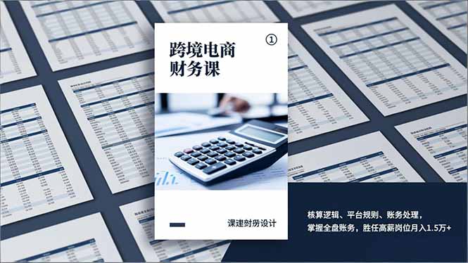 (17036期)跨境电商财务课,核算逻辑、平台规则、账务处理,掌握全盘账务,胜任高薪岗位月入1.5万+-赛德副业库