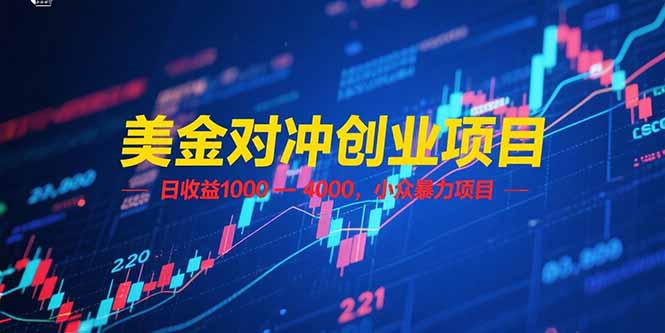 （15187期）美金对冲创业项目，日收益 1000 – 4000，小众暴力项目-赛德副业库