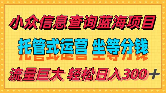 (15216期)稳定日入300+,小众信息查询蓝海项目,全程懒人式托管,解放你的时间-赛德副业库