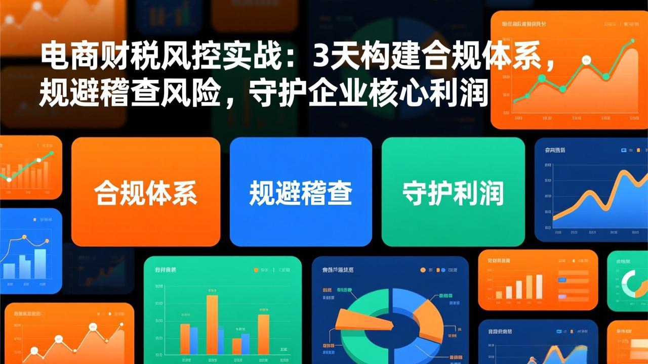 (17197期)电商财税风控实战:3天构建合规体系,规避稽查风险,守护企业核心利润-赛德副业库
