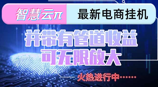(15314期)智慧云π电脑挂机单机每天收益300—500+ 并带有团队管道收益 可无限放大-赛德副业库