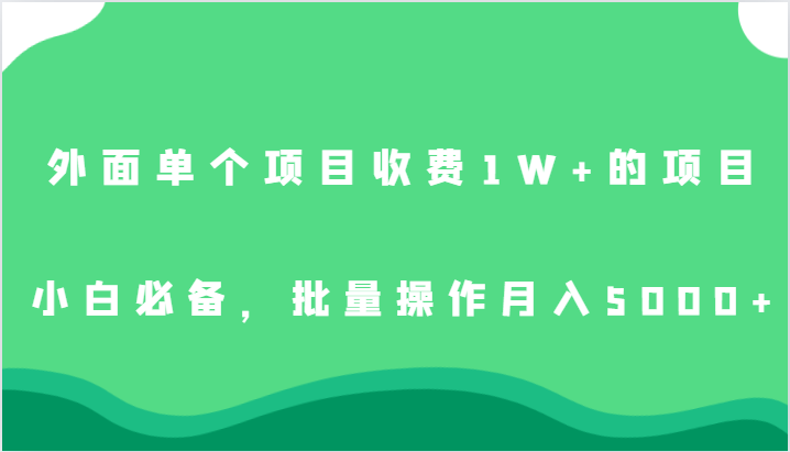外面单个项目收费1W+的项目,小白必备,批量操作月入5000+-赛德副业库
