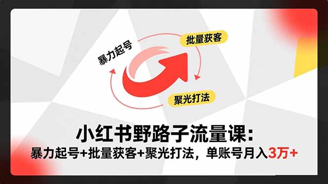 （16513期）小红书野路子流量课：暴力起号+批量获客+聚光打法，单账号月入3万+-赛德副业库