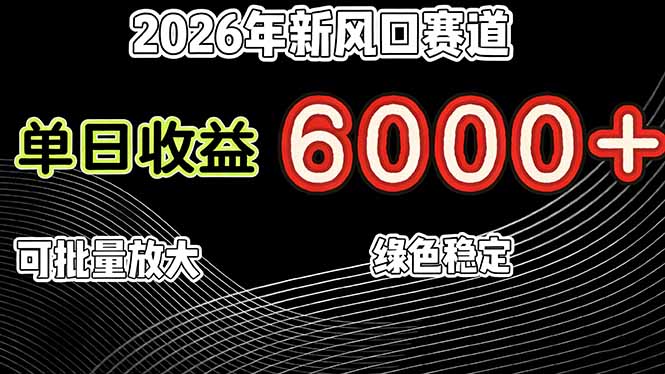 （17135期）2026年新风口赛道，当日6000+以上，可批量放大，月收入20万+，长期绿色稳定的项目-赛德副业库