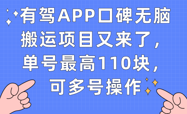 有驾APP口碑无脑搬运项目又来了，单号最高110块，可多号操作-赛德副业库