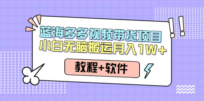 人人都能操作的蓝海多多视频带货项目 小白无脑搬运（教程+软件）-赛德副业库