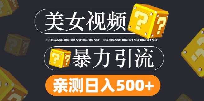 搬运tk美女视频全网分发，日引s粉300+，轻松变现，不限流量不封号【揭秘】-赛德副业库