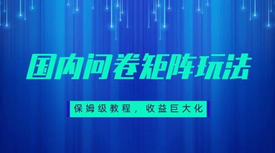 保姆级教程,国内问卷矩阵玩法,轻松赚收益-赛德副业库