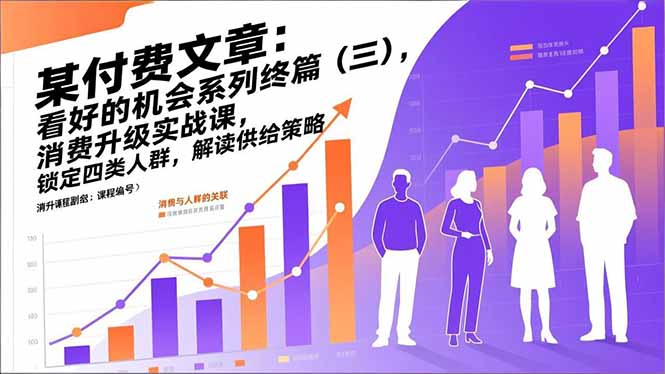 (17004期)某付费文章:看好的机会系列终篇(三),消费升级实战课,锁定四类人群,解读供给策略-赛德副业库