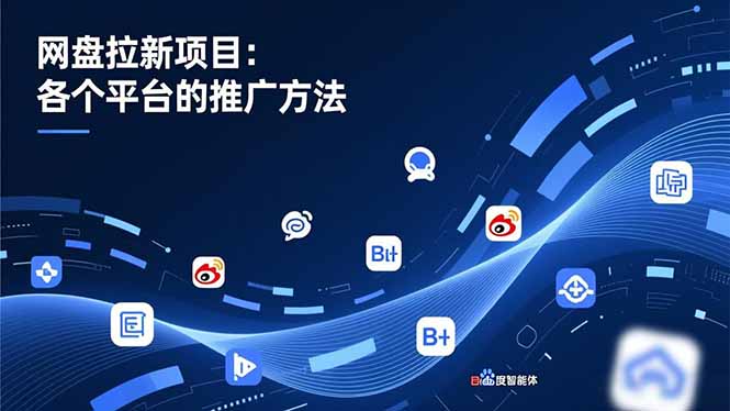 （16971期）网盘拉新项目：各个平台的推广方法，公众号、截留玩法，微博，B站，百度智能体-赛德副业库