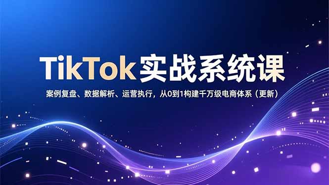 （16918期）TikTok实战系统课，案例复盘、数据解析、运营执行，从0到1构建千万级电商体系（更新）-赛德副业库