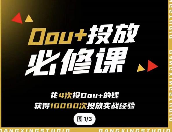 代同学DOU+投放训练营，用付费流量撬动大额自然流量，过得超额变现转化-赛德副业库