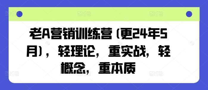 老A营销训练营(更24年6月),轻理论,重实战,轻概念,重本质-赛德副业库