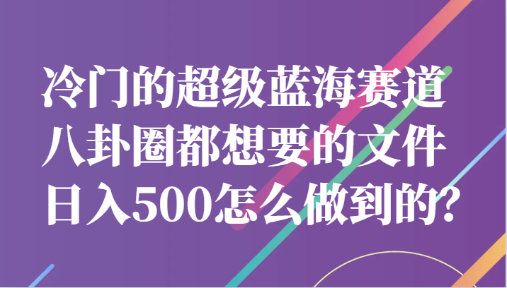 冷门的超级蓝海赛道，八卦圈都想要的文件，一天轻松日入500怎么做到的？-赛德副业库