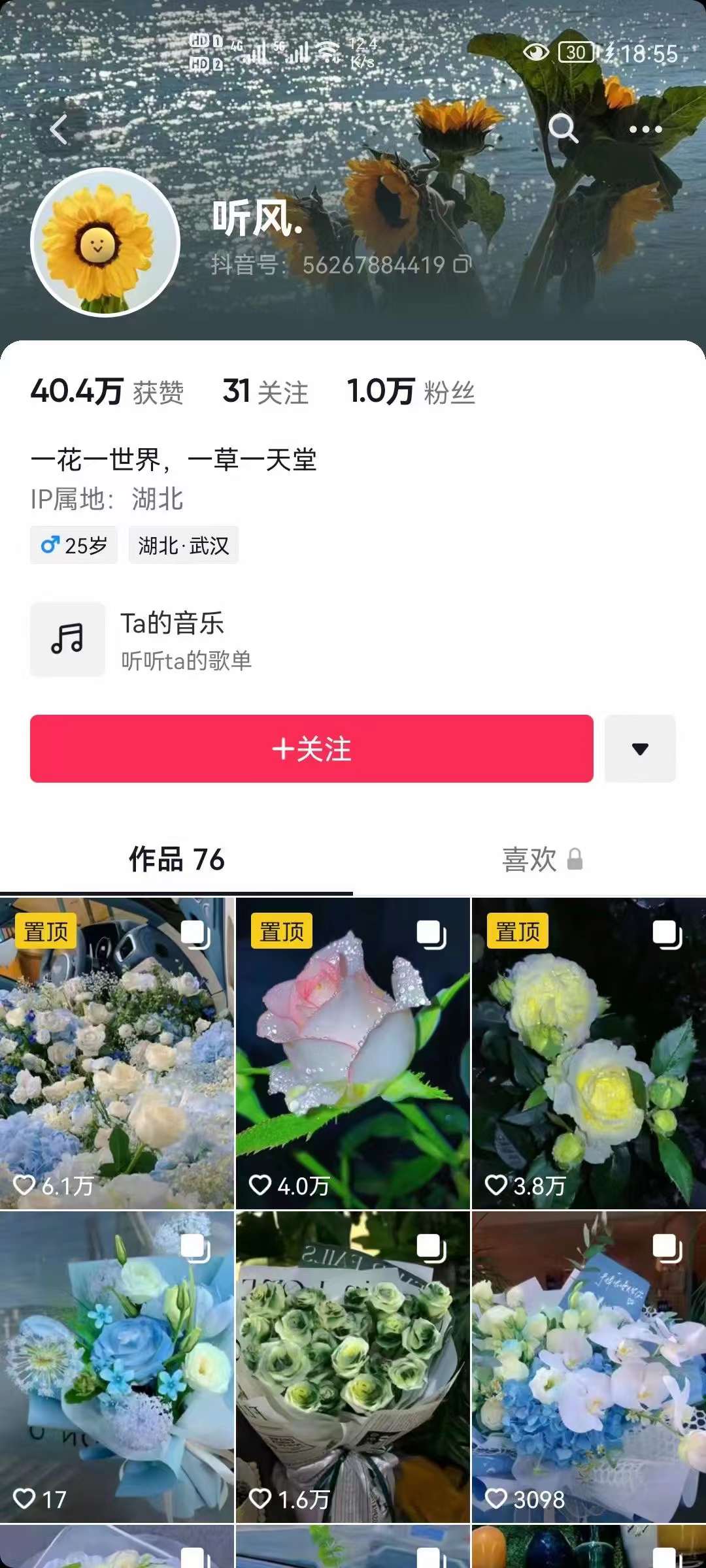 图片[2]-抖音壁纸变现项目：实战日入380+发布壁纸素材获取收益！-赛德副业库