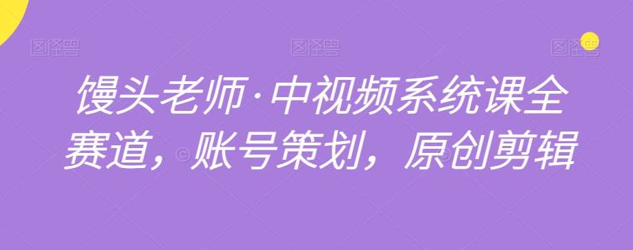 馒头老师·中视频系统课全赛道，账号策划，原创剪辑-赛德副业库