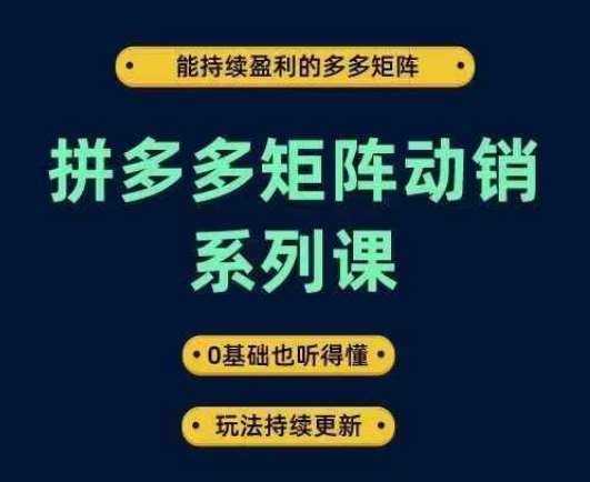 拼多多矩阵动销系列课,能持续盈利的多多矩阵,0基础也听得懂,玩法持续更新-赛德副业库