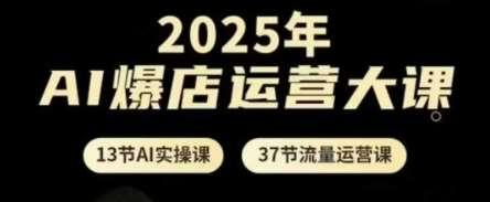 2025年AI爆店运营大课,13节AI实操课+37节流量运营课-赛德副业库