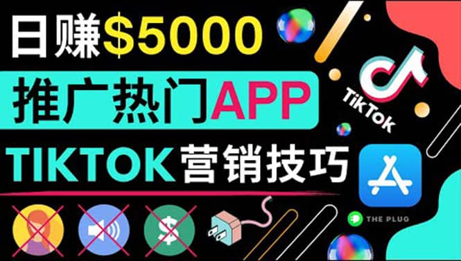 无需露脸，无需录音，无需投资，TIKTOK上传短视频，最高日入5000美元-赛德副业库