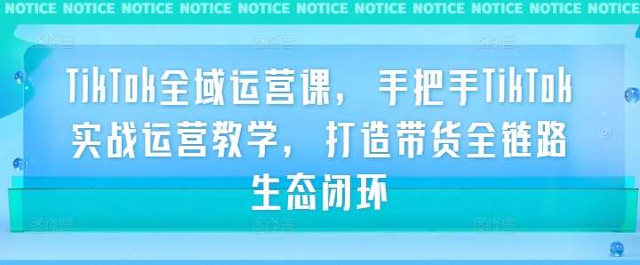 TikTok全域运营课，手把手TikTok实战运营教学，打造带货全链路生态闭环-赛德副业库