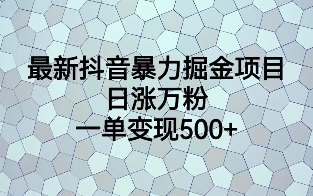最新抖音暴力掘金项目，日涨万粉，一单变现500+-赛德副业库