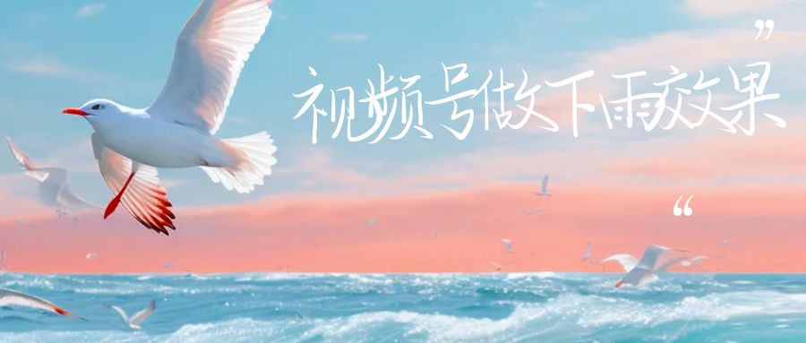 视频号做下雨视频，一个账号一周涨粉10W+，日入1000+附保姆级教程-赛德副业库