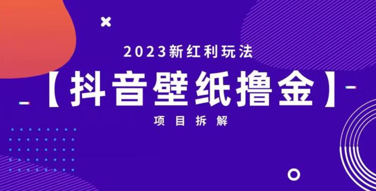 抖音壁纸小程序创作者撸金项目，2023新红利玩法【项目拆解】-赛德副业库