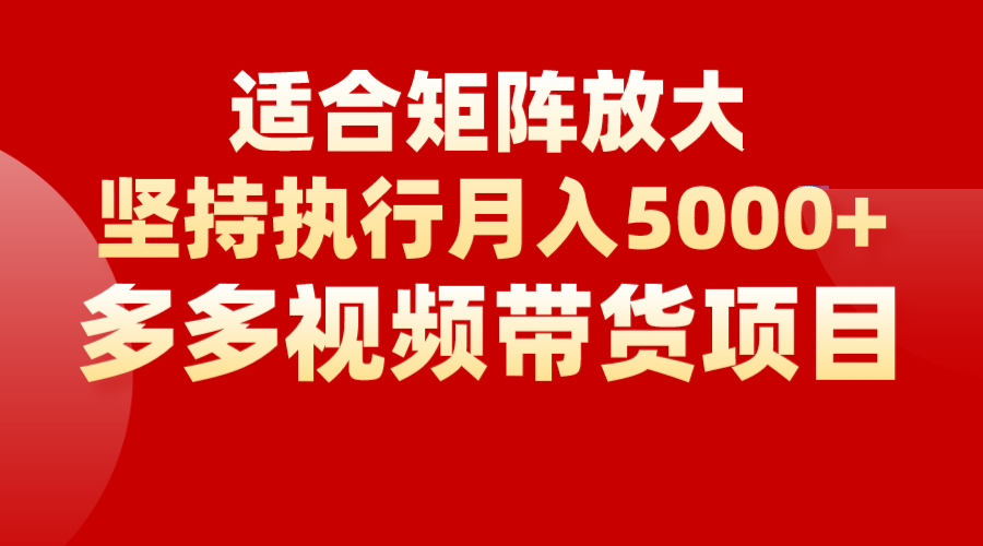矩阵操作月入5000+，多多视频带货项目，适合新手，也适合老手放大-赛德副业库