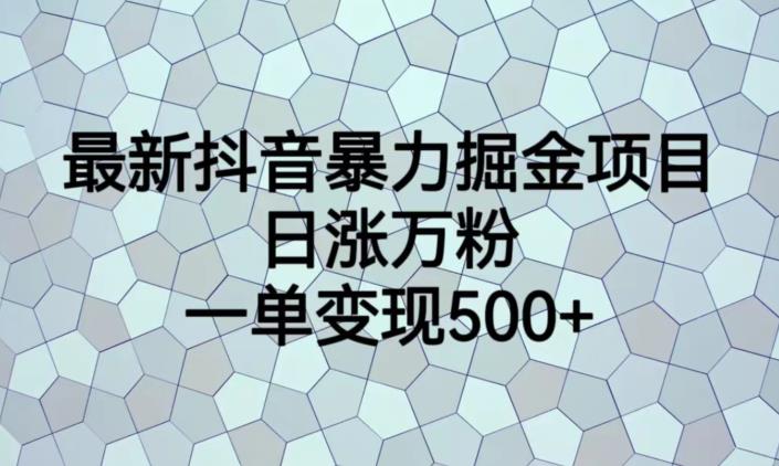 最新抖音暴力掘金项目，日涨万粉，一单变现500+【揭秘】-赛德副业库